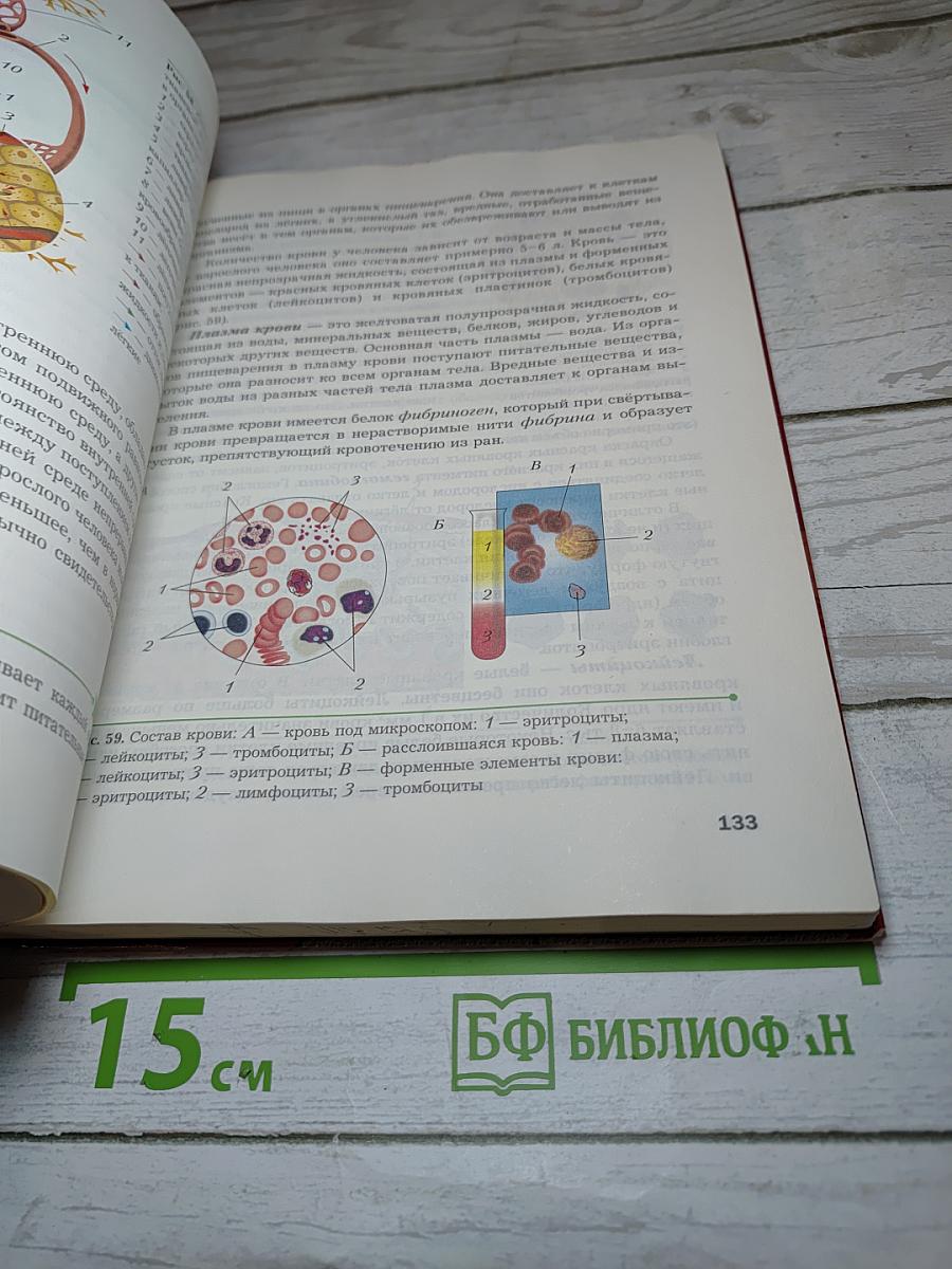 Биология 9 класс