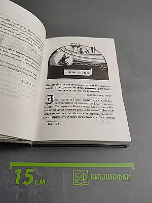 Трезвенное созерцание