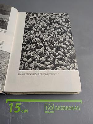 Пароль скрещенных антенн