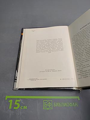 Итальянское искусство эпохи Возрождения XIII – XVI века. Очерк-путеводитель
