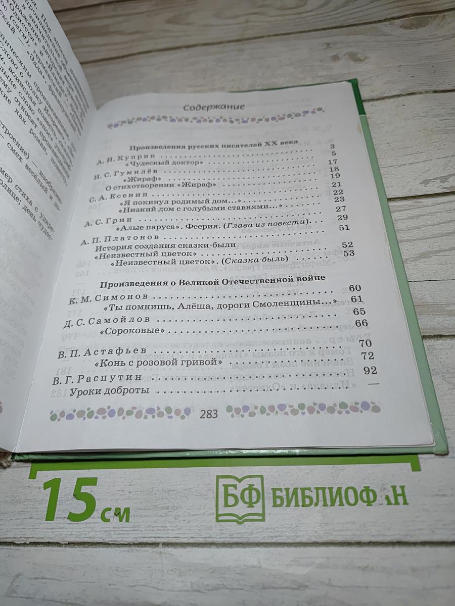 Литература. 6 класс. Часть 2