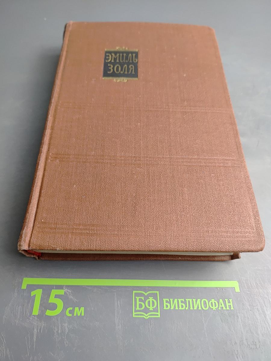 Дамское счастье. Радость жизни. Том 9