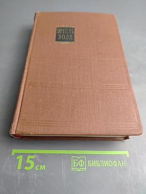 Дамское счастье. Радость жизни. Том 9