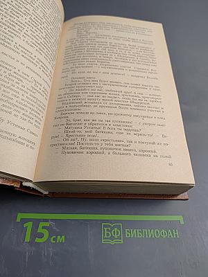 Петербургские трущобы. Книга о сытых и голодных. Части IV-VI. Том 2