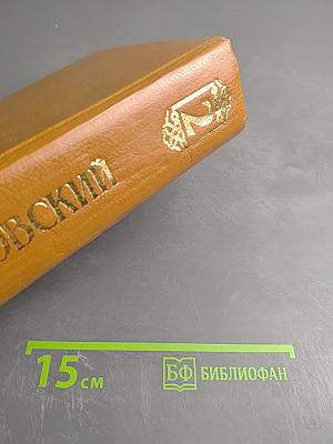 Петербургские трущобы. Книга о сытых и голодных. Части IV-VI. Том 2