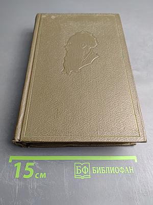 Собрание сочинений. Том десятый. Повести и рассказы 1872-1886 гг.
