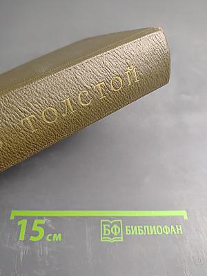 Собрание сочинений. Том десятый. Повести и рассказы 1872-1886 гг.