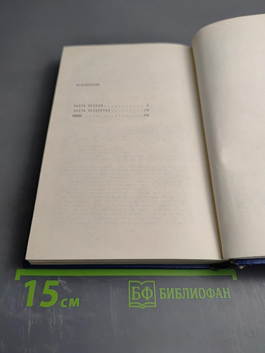 Вечные хлопоты. Книга вторая