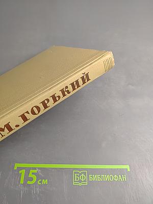 Собрание сочинений. Том 14. Жизнь Клима Самгина
