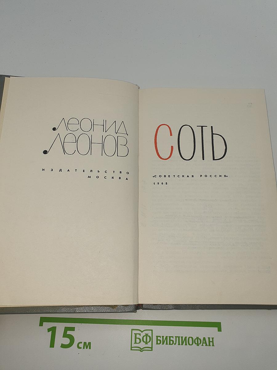 Соть