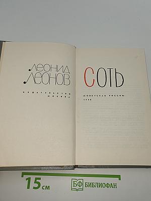Соть