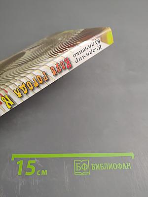 Клуб города N