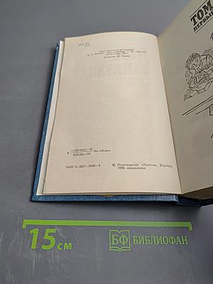 Два капитана