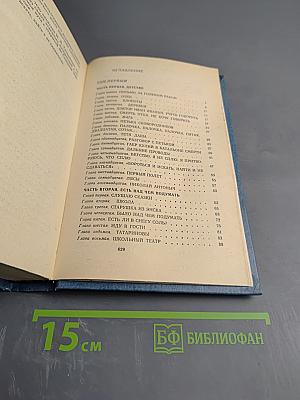 Два капитана