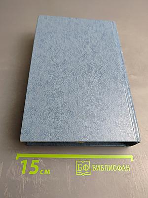 Два капитана