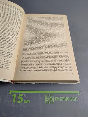 Изучение литературы в 8 классе