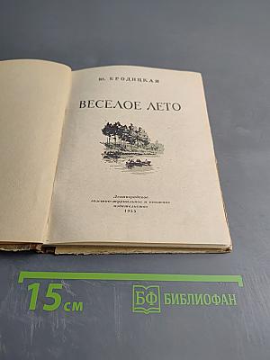 Веселое лето