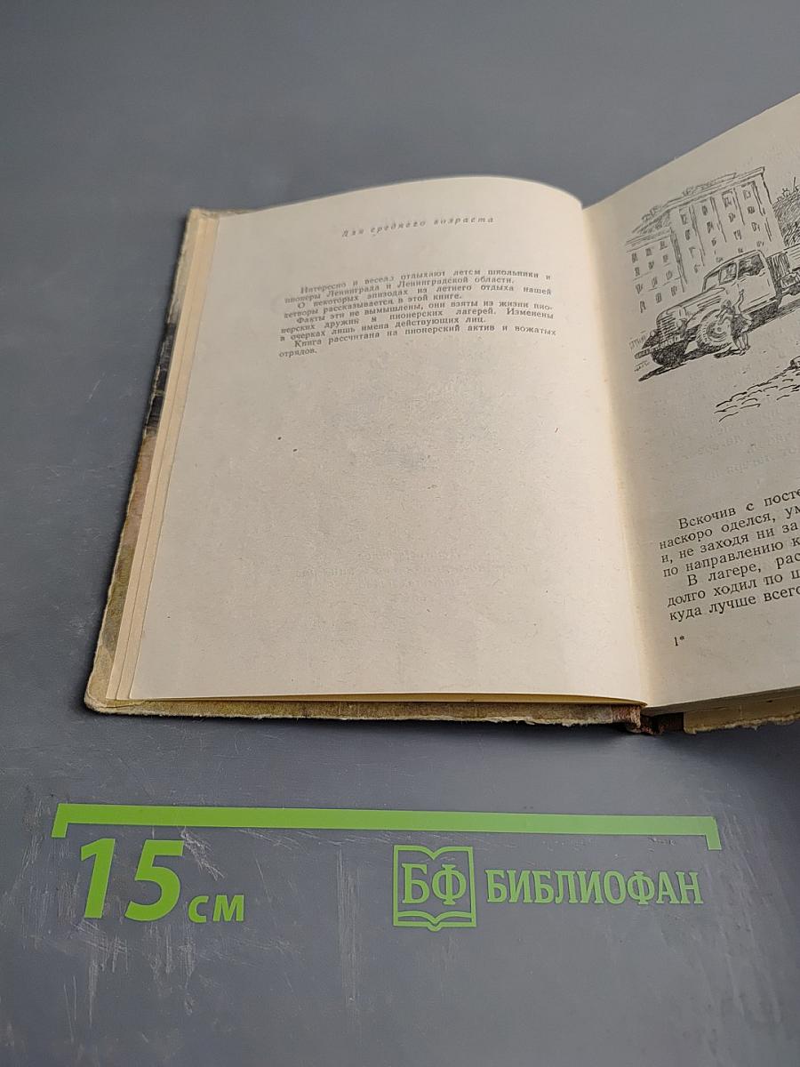 Веселое лето