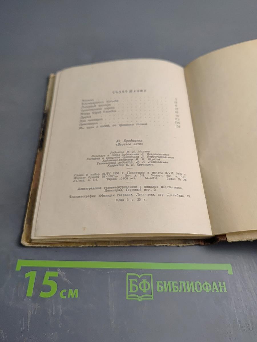 Веселое лето