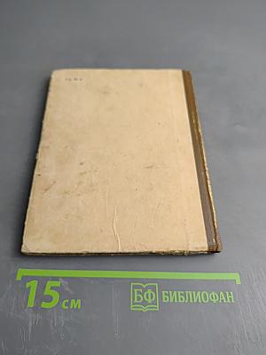 Веселое лето