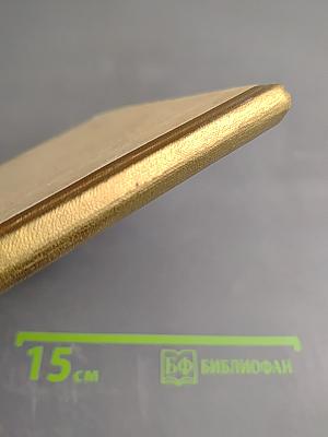 Веселое лето