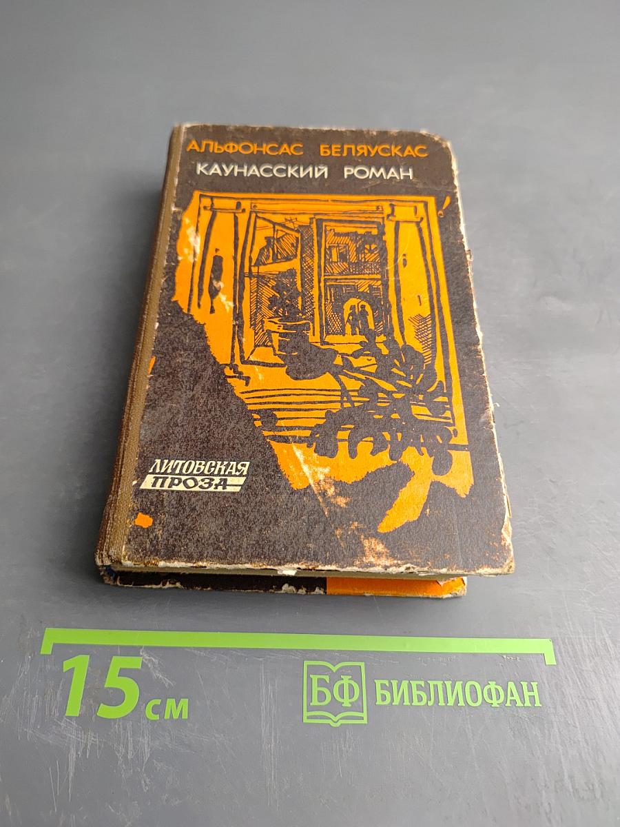 Каунасский роман