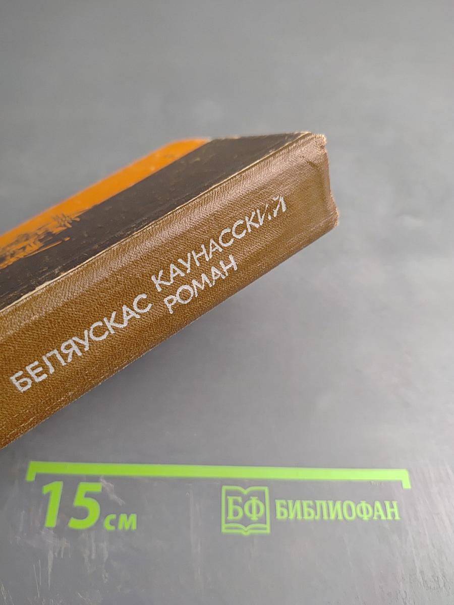 Каунасский роман