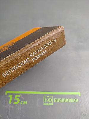 Каунасский роман