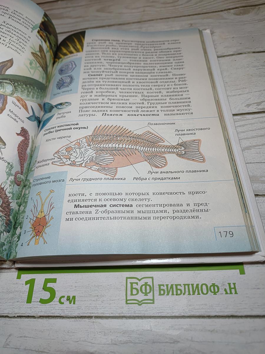 Биология. Многообразие живых организмов. 7 класс