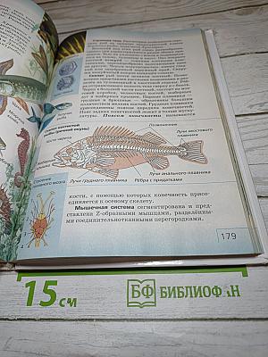 Биология. Многообразие живых организмов. 7 класс