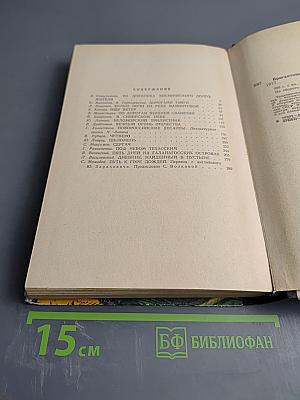 Бригантина-76