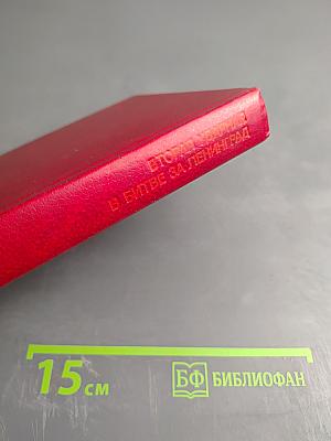 Вторая ударная в битве за Ленинград