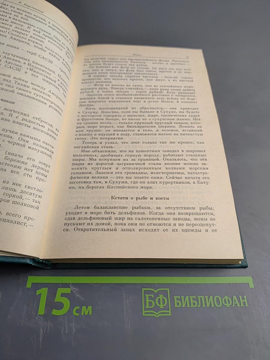 Муза дальних странствий