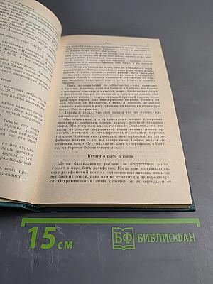 Муза дальних странствий