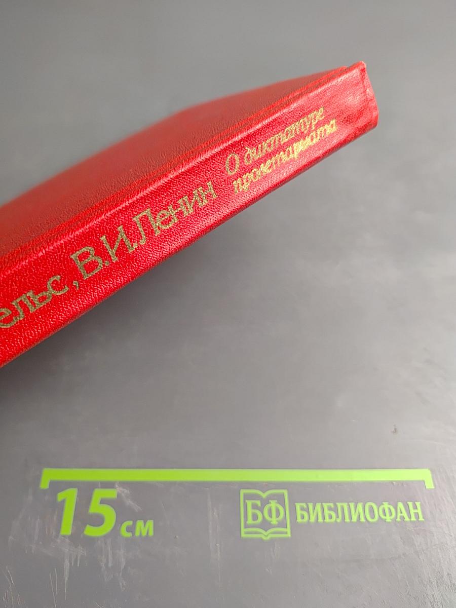 О диктатуре пролетариата