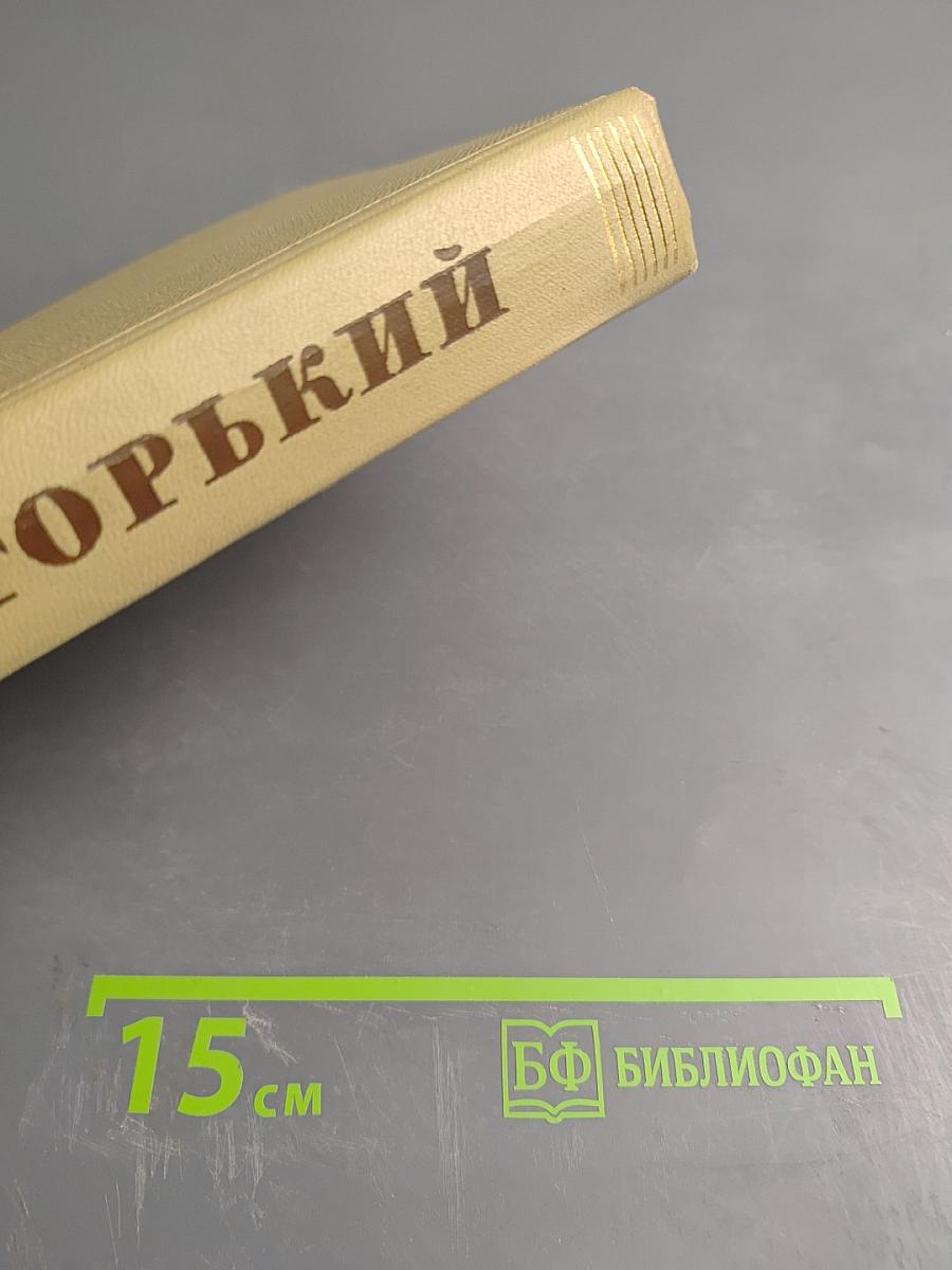 Собрание сочинений. Том 13. Жизнь Клима Самгина. 1925-1936