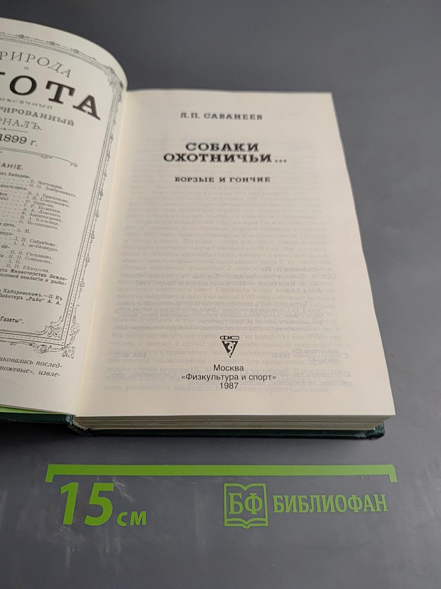 Собаки охотничьи... Борзые и гончие