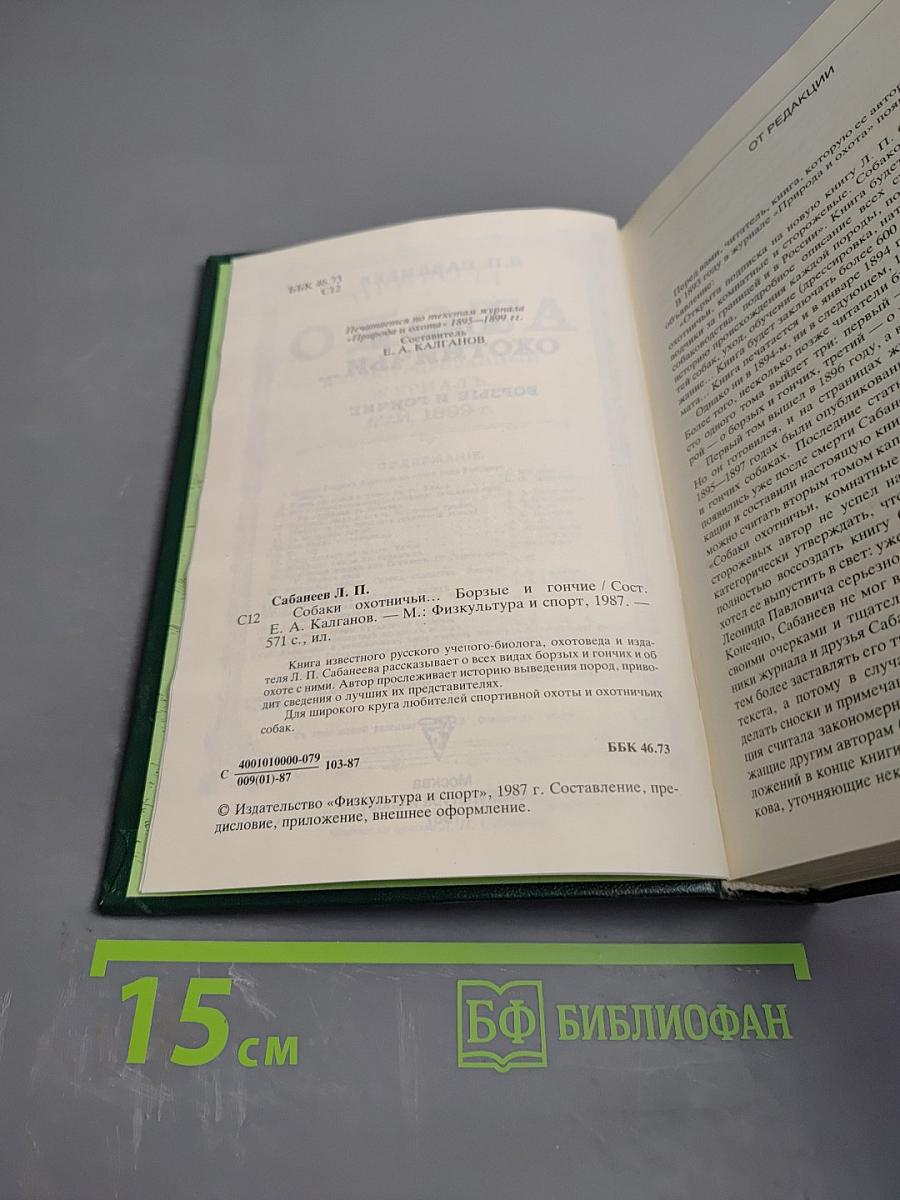 Собаки охотничьи... Борзые и гончие