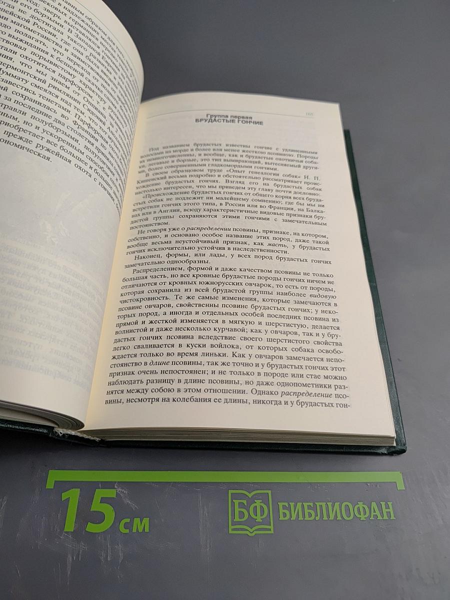 Собаки охотничьи... Борзые и гончие