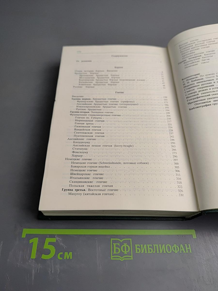 Собаки охотничьи... Борзые и гончие