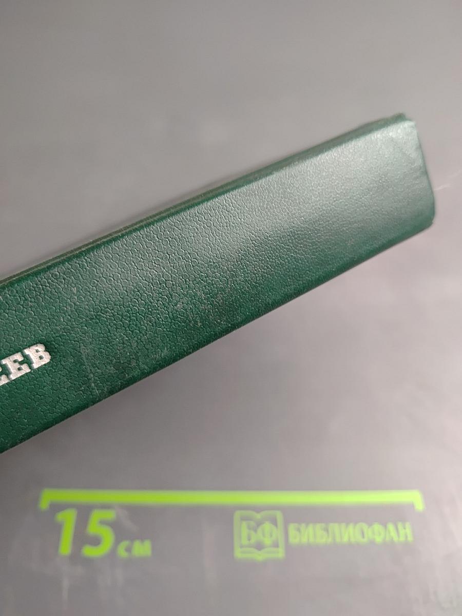 Собаки охотничьи... Борзые и гончие