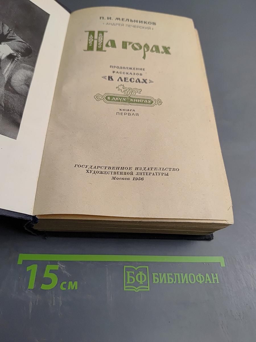 На горах. Книга первая