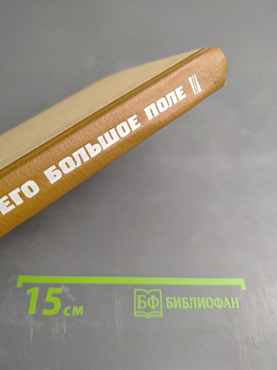 Его большое поле