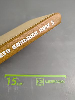 Его большое поле