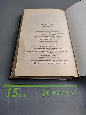 Меч наемника