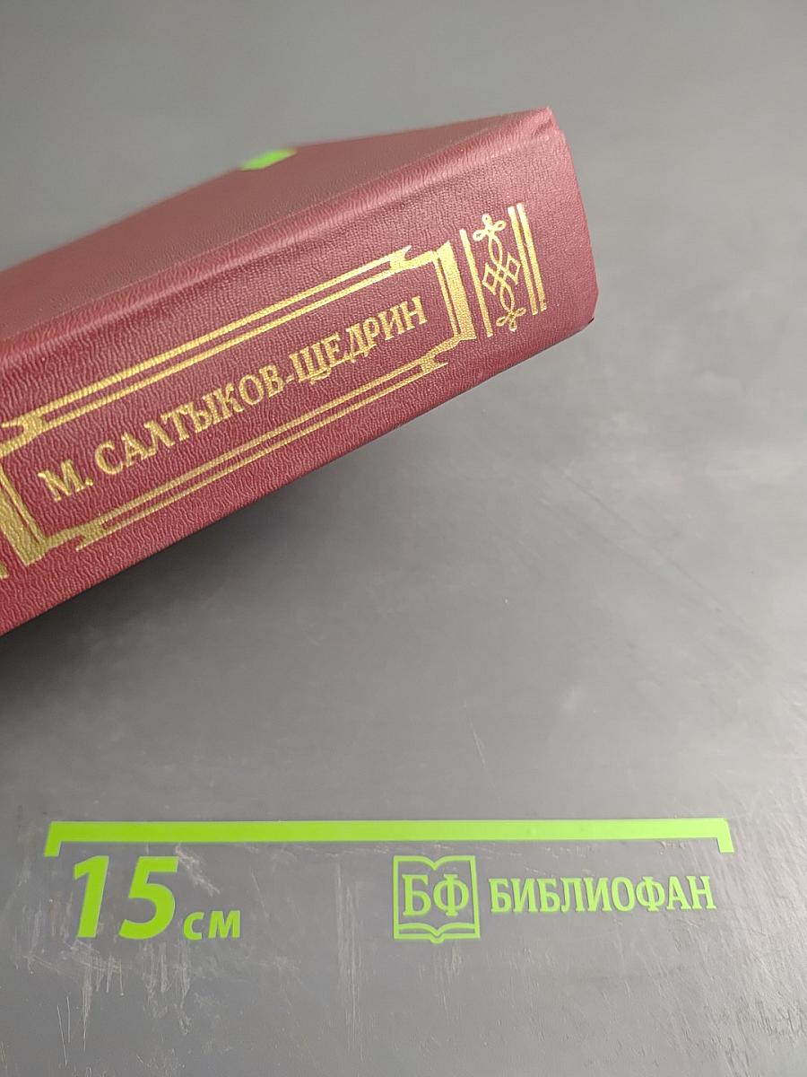 М. Салтыков-Щедрин. История одного города. Господа Головлевы. Сказки. Книга для ученика и учителя. Для старших классов.