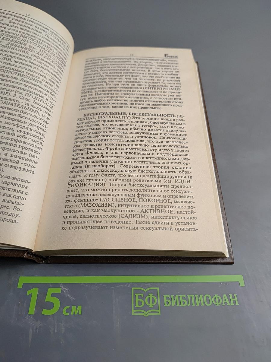 Критический словарь психоанализа