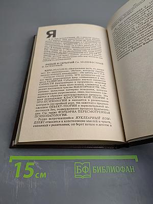 Критический словарь психоанализа