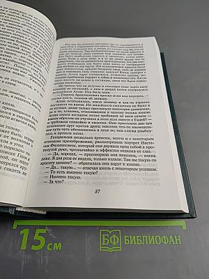 Идиот, Том III