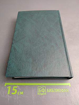 Идиот, Том III